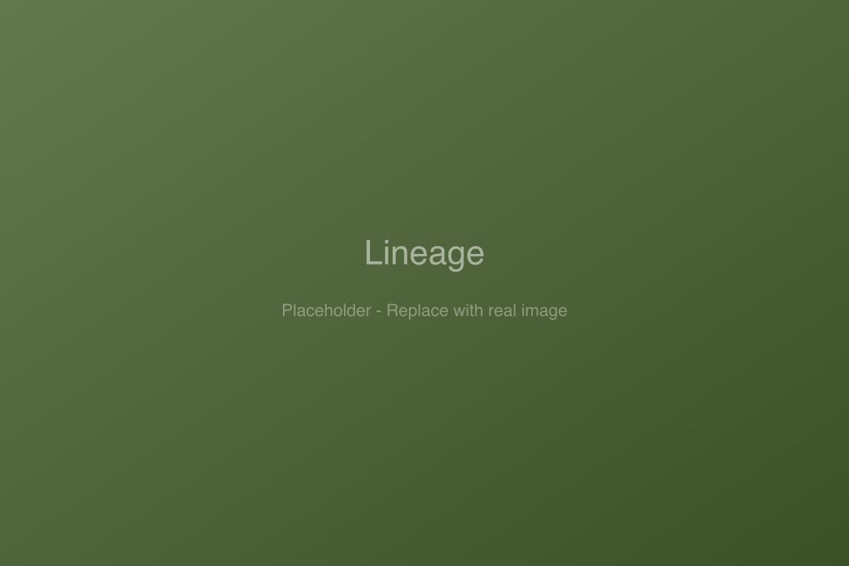 Lineage regeneratively raised cattle on pasture