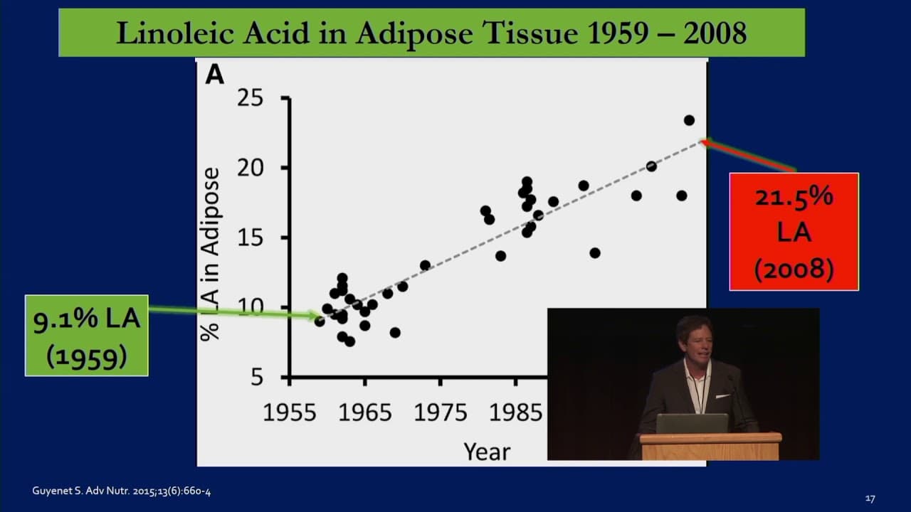 Seed Oils: The Evidence Against Them Is Overwhelming